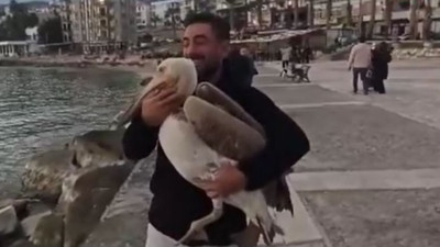 Silifke'nin maskotu canlı pelikan oldu