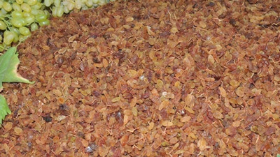 Fransa, tonlarcasını Türkiye'ye geri gönderiyor! Böcek ve mantar ilacı bulundu