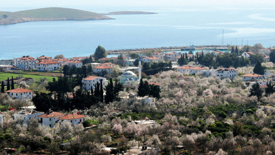 Beyaz gelinliğini giydi: İlk meyveleri Şubat ayında
