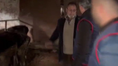 Sakarya'da büyükbaş hayvan hırsızlığı operasyonu: 7 tutuklama