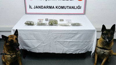 Narkotik köpeği iş başında