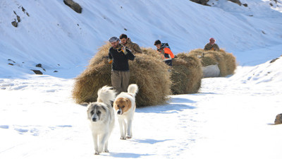 Karlı dağlarda zorlu yolculuk