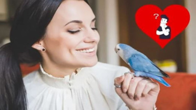 Gençliğin sırrı kuşlarda mı? İşin uzmanları anlatıyor