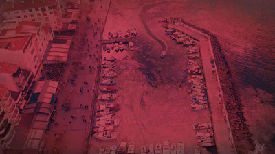 Deniz ekosistemi tehlike altında... Kabus 5 yıl sonra geri döndü