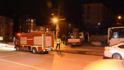 Park halindeki kamyonette yangın çıktı