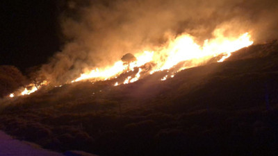 Gökçeada'da otluk alanda korkutan yangın