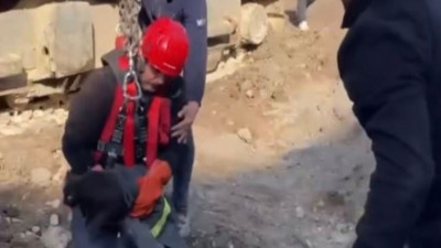 Kara kedi kazık kuyusuna düştü