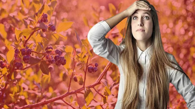 Unutkanlık hastalıklarına savaş açan 3 besin! Beyni genç tutuyorlar