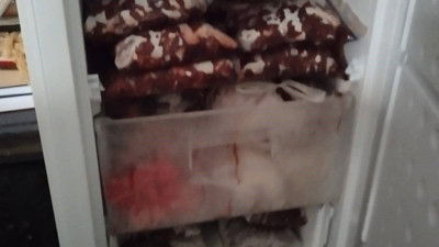 Yasa dışı avlanan hayvan buzdolabından çıktı