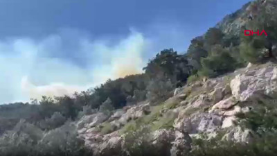 Sondakika!.. Antalya'da orman yangını!