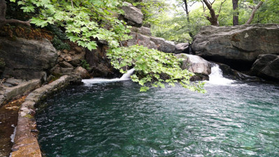 Kaz Dağları’nda sürdürülebilir yaşam! Bir yaşam okulu
