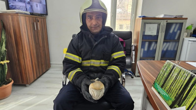 Baykuş için seferber oldular