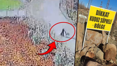 Siverek’te kuduz alarmı: 3 kişiyi köpek ısırdı, mahalle karantiya alındı