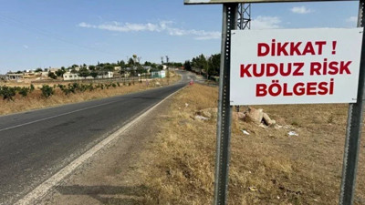 Bir ilçe diken üzerinde! Kuduz alarmı verildi