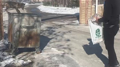 Görüntüler yürekleri ısıttı! Acıkan tilkiyi elleriyle besliyor