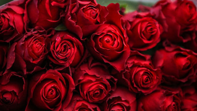 Sevgililer Günü de lüks oldu. Bir adet gül için akıl almaz fiyat