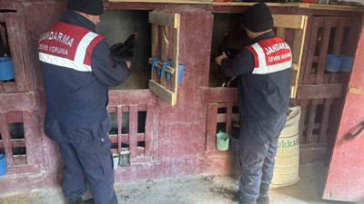 Uzundere’nde horoz dövüştürenlere jandarma operasyonu