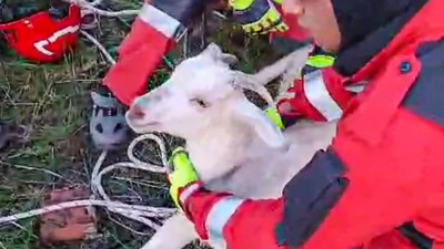 Kuyuya düşen keçiyi itfaiye kurtardı