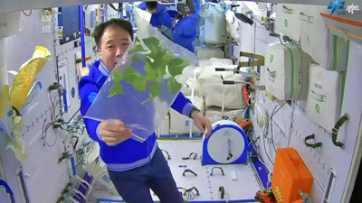 Astronotlar için taze gıda! Sıfır yerçekimli sistemde sebze yetiştirme