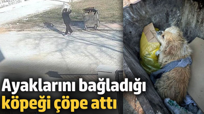 Ayaklarını bağladığı köpeği çöpe attı