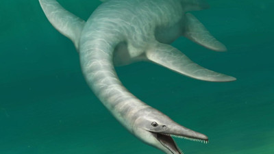 Okyanusların derinliklerinde gizemli keşif! Dev yılana benziyor