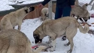 Belediye'den örnek davranış