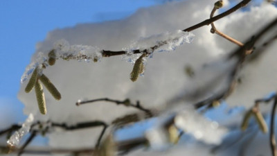 Doğu Akdeniz’de ’zirai don’ uyarısı