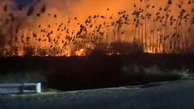 Köyceğiz’de sazlık yangını başladı