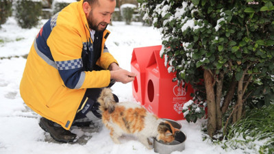 Bayrampaşa'da can dostlar unutulmadı