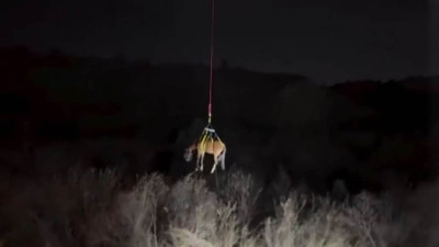 Dik yamaçta mahsur kaldı! Helikopterle sağ salim kurtarıldı