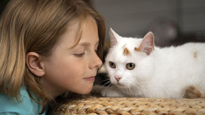 Evcil hayvanlarla iletişimin psikolojik faydaları