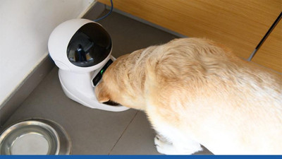 Geleceğin evcil hayvan bakımı: Akıllı ev sistemlerinin gücü