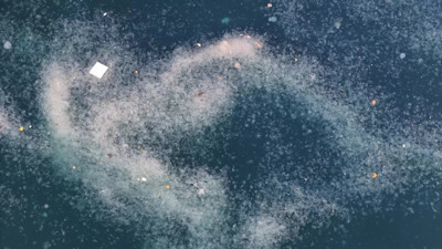 İstanbul'da şaşırtan görüntü! Kıyıları kapladı