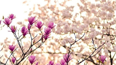 İkinci Cemre suya düştü