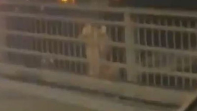 Köprüde çırılçıplak intihar girişimi. Genç kadını polis ikna etti