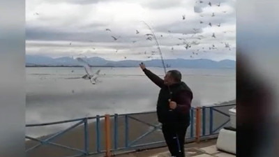 Balık oltasına bu kez martı takıldı