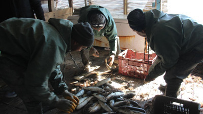 Balık yerine çöp avladılar!