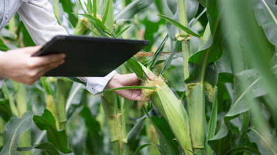 Siber tarım devrimi! Tarımda yeni dönem