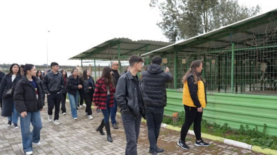 Öğrenciler, hayvanları unutmadı
