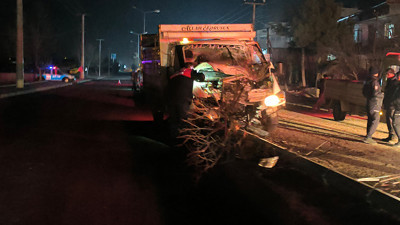 Refüje çıkan kamyonet ağaçları devirip direğe çarparak durdu