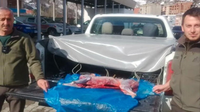 Kaçak avcılara ceza yağdı!