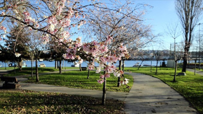 Kış ortasında yaz geliyor. Sıcak havanın geleceği tarih belli oldu
