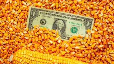 ABD ile Çin arasındaki ticaret savaşı mısır fiyatlarını vurdu