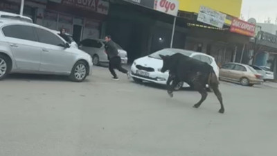 Sanayi sitesine giren kızgın boğa esnafı kovaladı