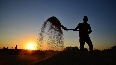 Tarım işçilerinin günlük ücreti arttı