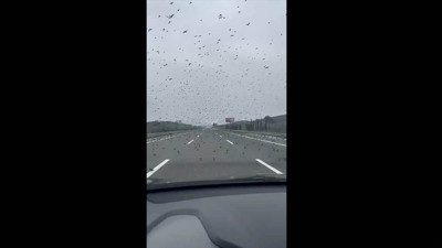 Otobanda şaşırtan olay! Sürücüler zor anlar yaşadı