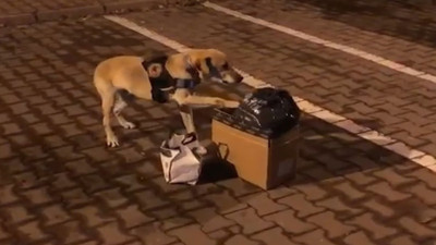 Salça bidonuna uyuşturucu saklamıştı! Karar çıktı