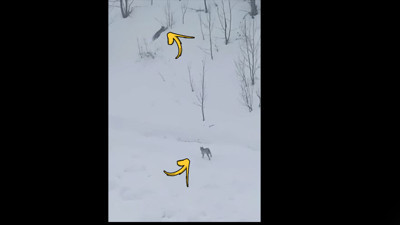 Karlı arazide görüntülendiler