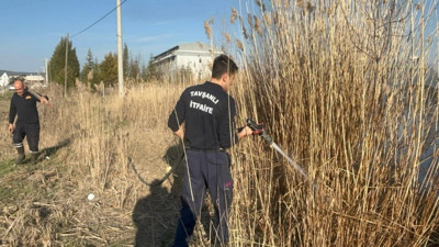 Tavşanlı'da otluk alanda korkutan yangın