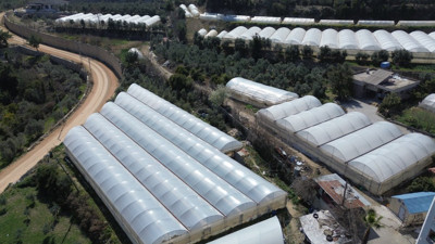 Unutkanlığı bitiriyor kansere set çekiyor. Eczaneyi evinize getiren sebze. Kilosu tarlada 80 TL